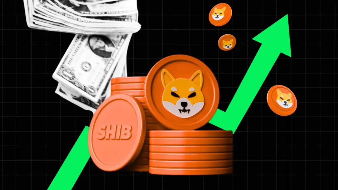 Is Shiba one of the best digital currencies
