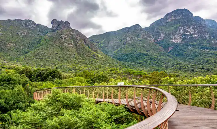 باغ گیاه شناسی ملی کرستنبوش آفریقا جنوبی