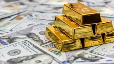 طلا یا دلار کدامیک برای سرمایه‌گذاری مناسب‌تر است؟