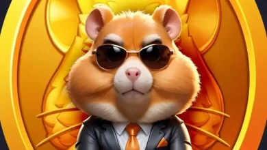 کد مورس همستر امروز 9 (نهم) شهریور