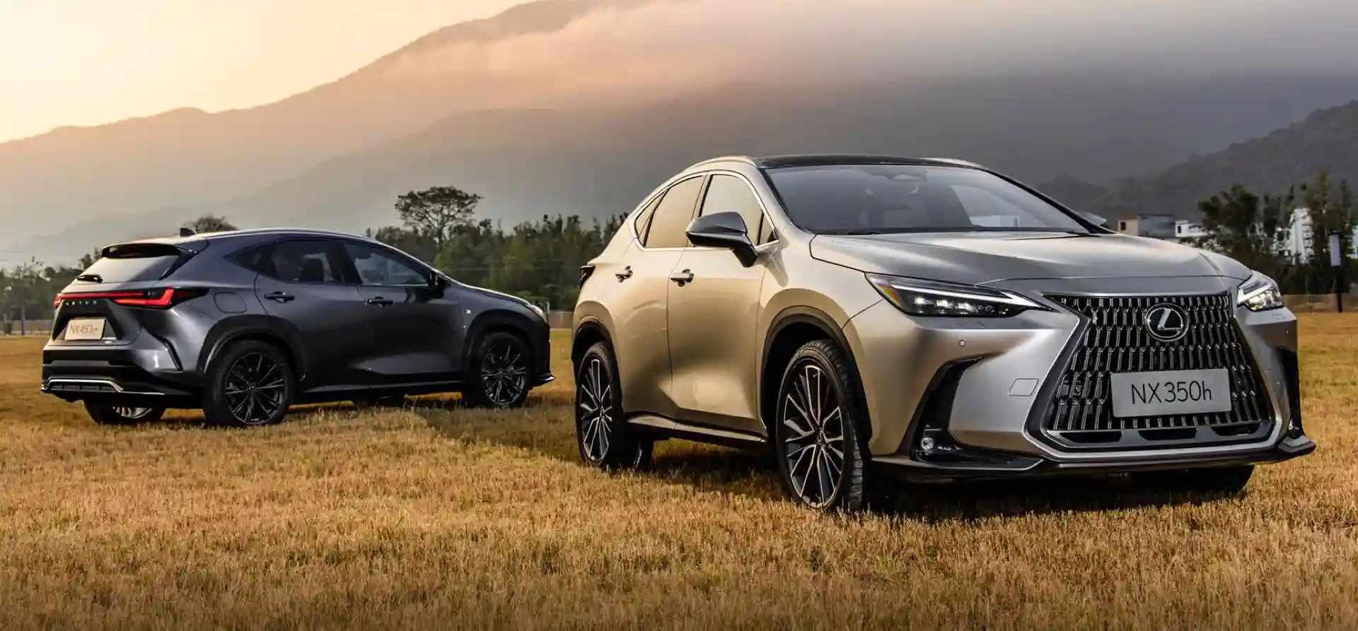 لکسوس NX مدل ۲۰۲۵ با نسخه دو دیفرانسیل و آفرودی اورتریل معرفی شد