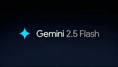 Gemini 2.5 Flash introduced