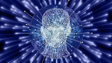 آیا می‌توانیم برای همیشه زنده بمانیم